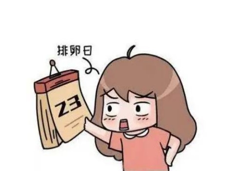 成都捐卵供卵：月经期间不能同房为什么,经期同房有什么危害