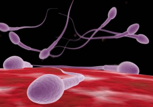 成都代怀服务：三种让你知晓是否有y精子的方法分享