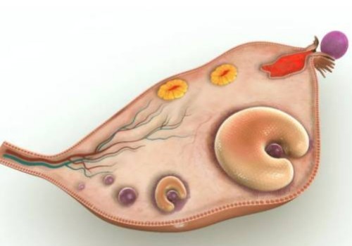成都试管供精：在台湾做试管婴儿的花费大概多少？会比在国外做试管婴儿便宜吗