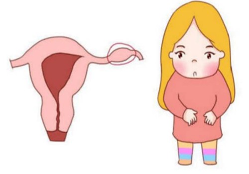 初次备孕经验不足的女性看过来！同房后出现以下几种情况可能备孕成功