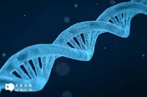 成都代生中心：囊胚质量影响试管移植成功率，囊胚质量越好着床几率越大