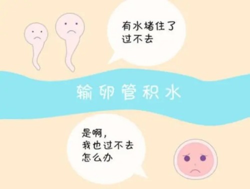 成都试管机构包男孩：试管第一次移植成功后生化了下次移植生化的可能性解读