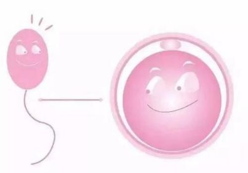 成都试管供卵：胎儿臀位和性别真没关系，小心胎位不当影响分娩