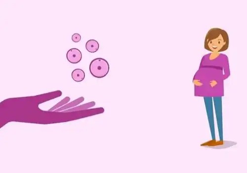 成都供卵代生：促排期间为什么有很多分泌物,促排期间身体有什么反应